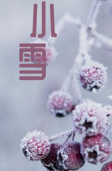 小雪时节思绪千万种-5