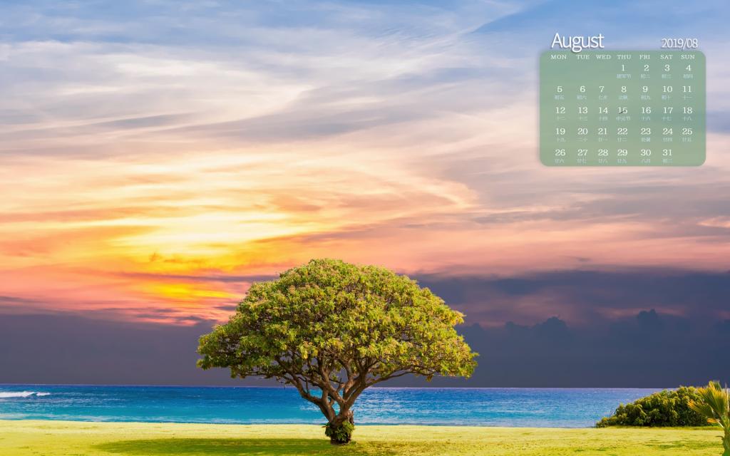 2019年8月蔚蓝的海洋写真日历