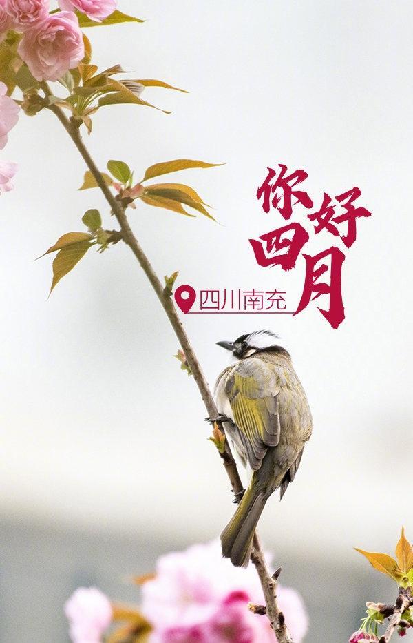 万物迎来复苏,你好四月