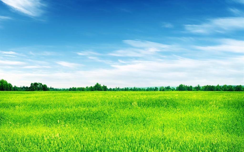 绿色震撼自然风景