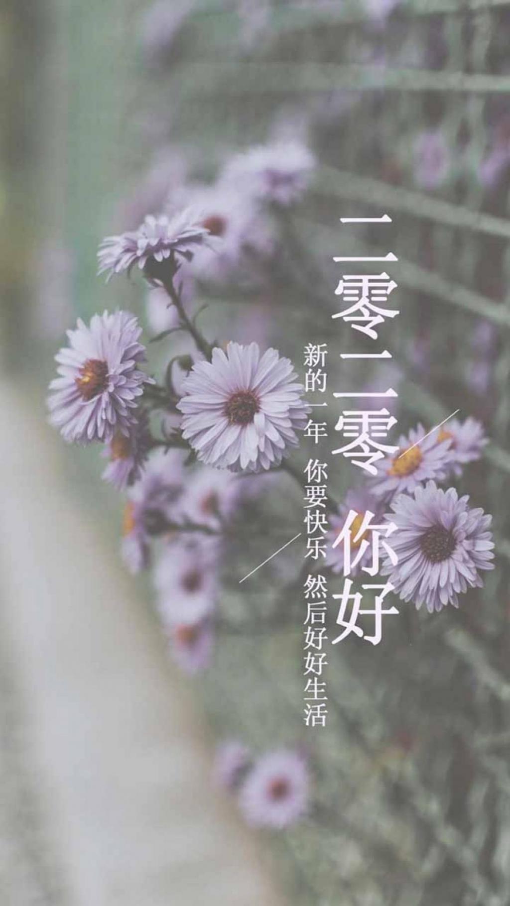 新的一年,请好好生活