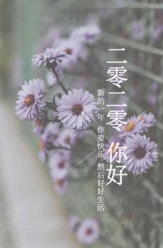 新的一年,请好好生活-2