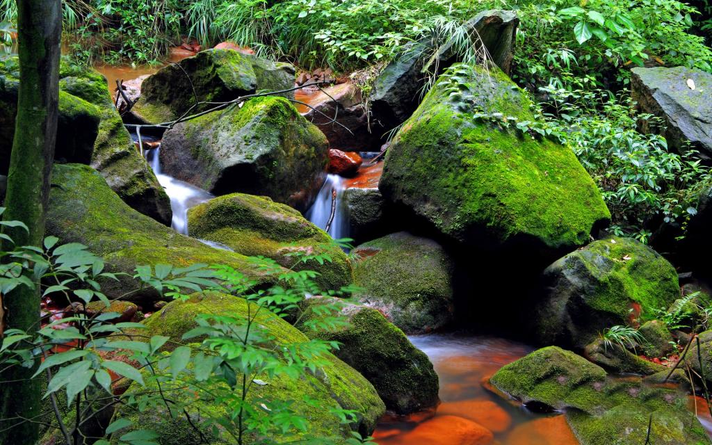 贵州赤水天柱峰佛光岩风景