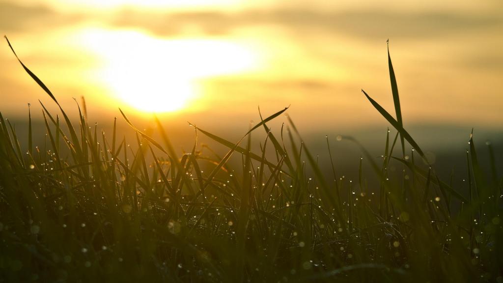 向着希望的太阳