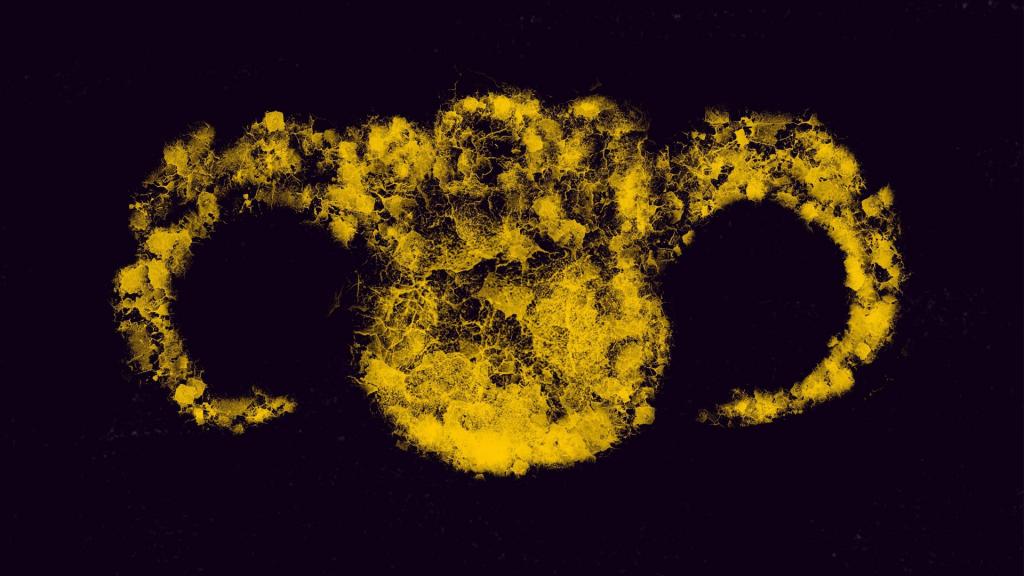 火象星座的白羊座