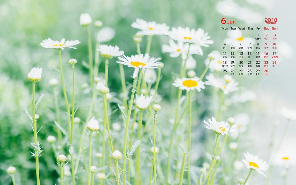 2018年6月小清新植物日历