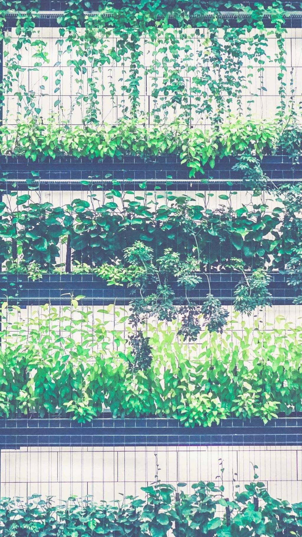 精选小清新绿色锁屏