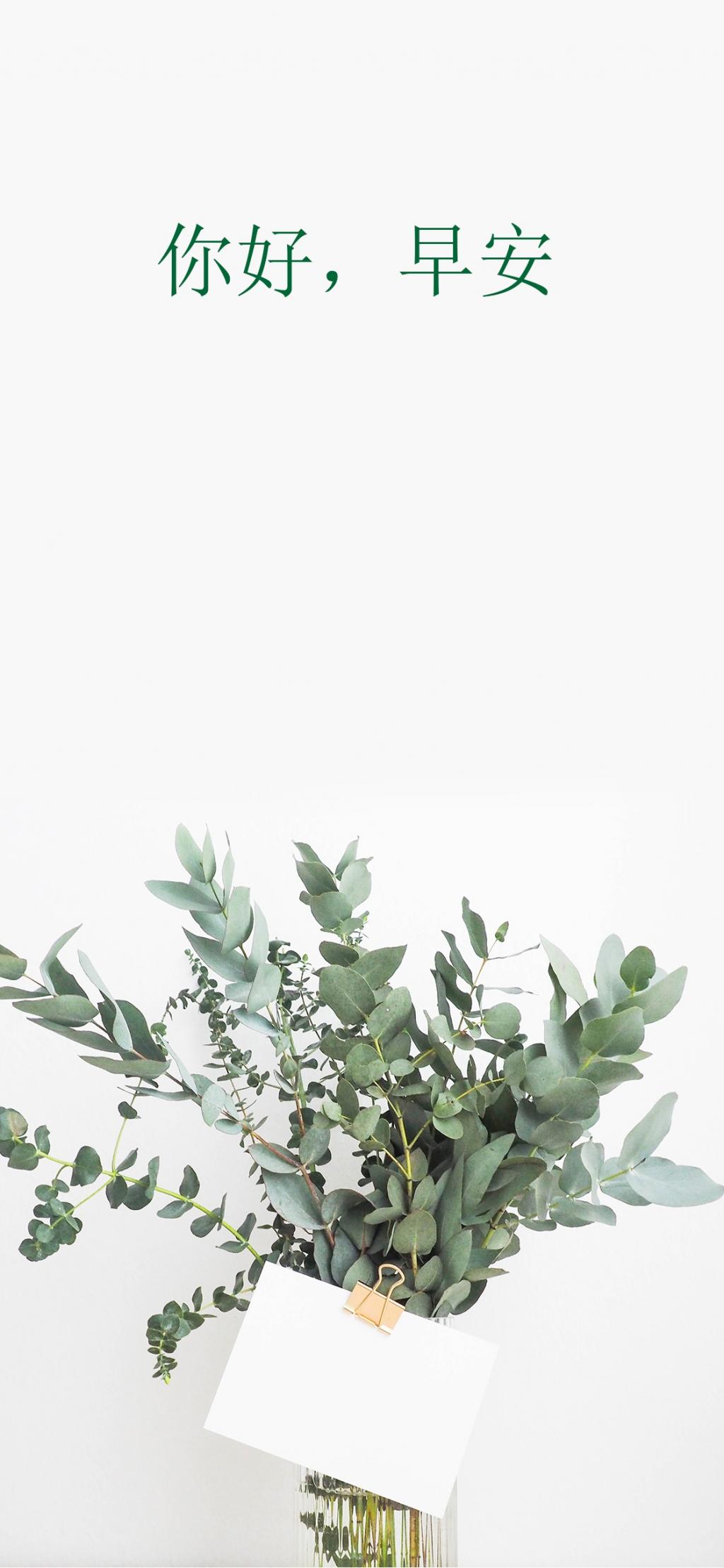 早安/世界上没有坐享其成的好事