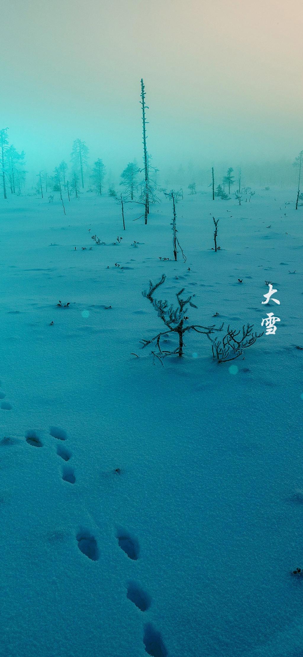 冬季的雪景