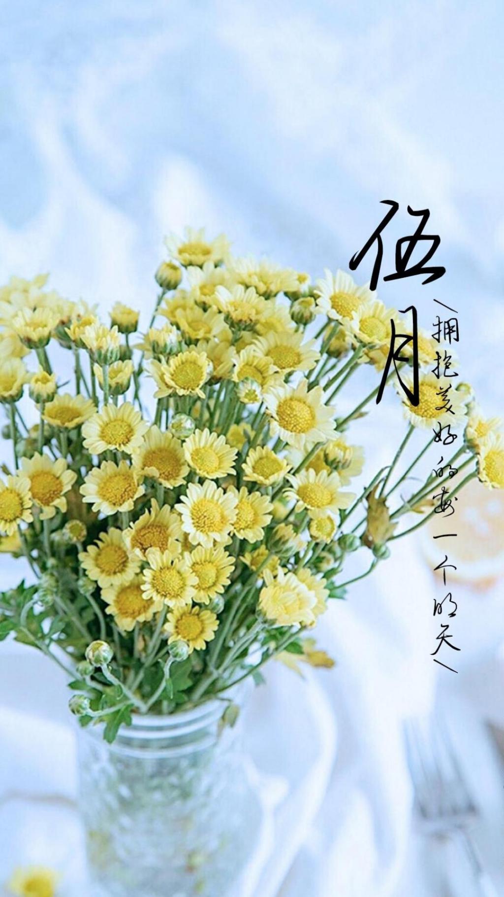 小清新唯美五月你好