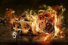 梦幻汽车动物创意设计