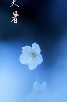 炎炎夏日的大暑