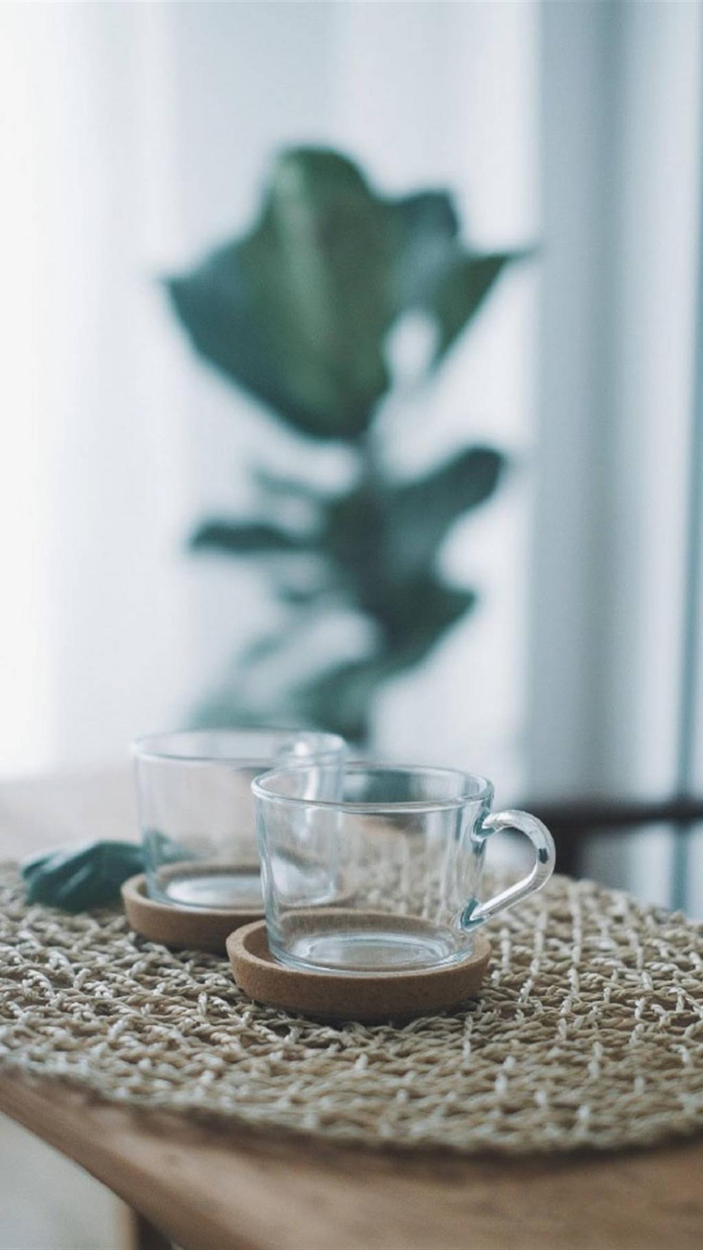 今日份的小清新