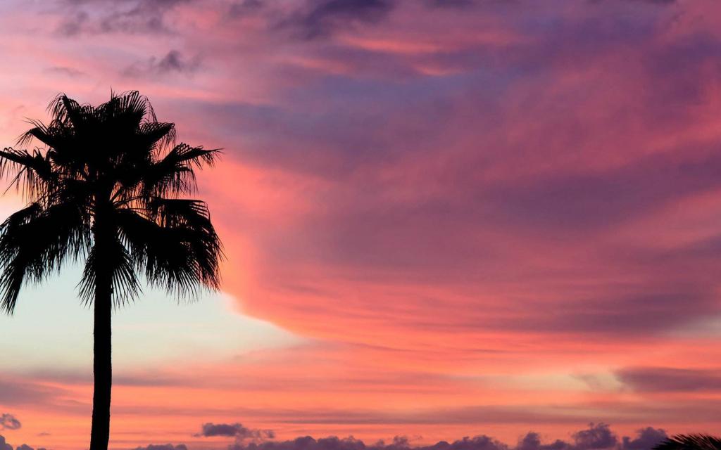 遇见城市的唯美的夜色风景