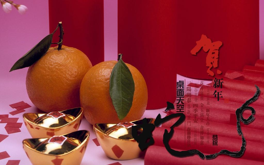 2013蛇年春节节日