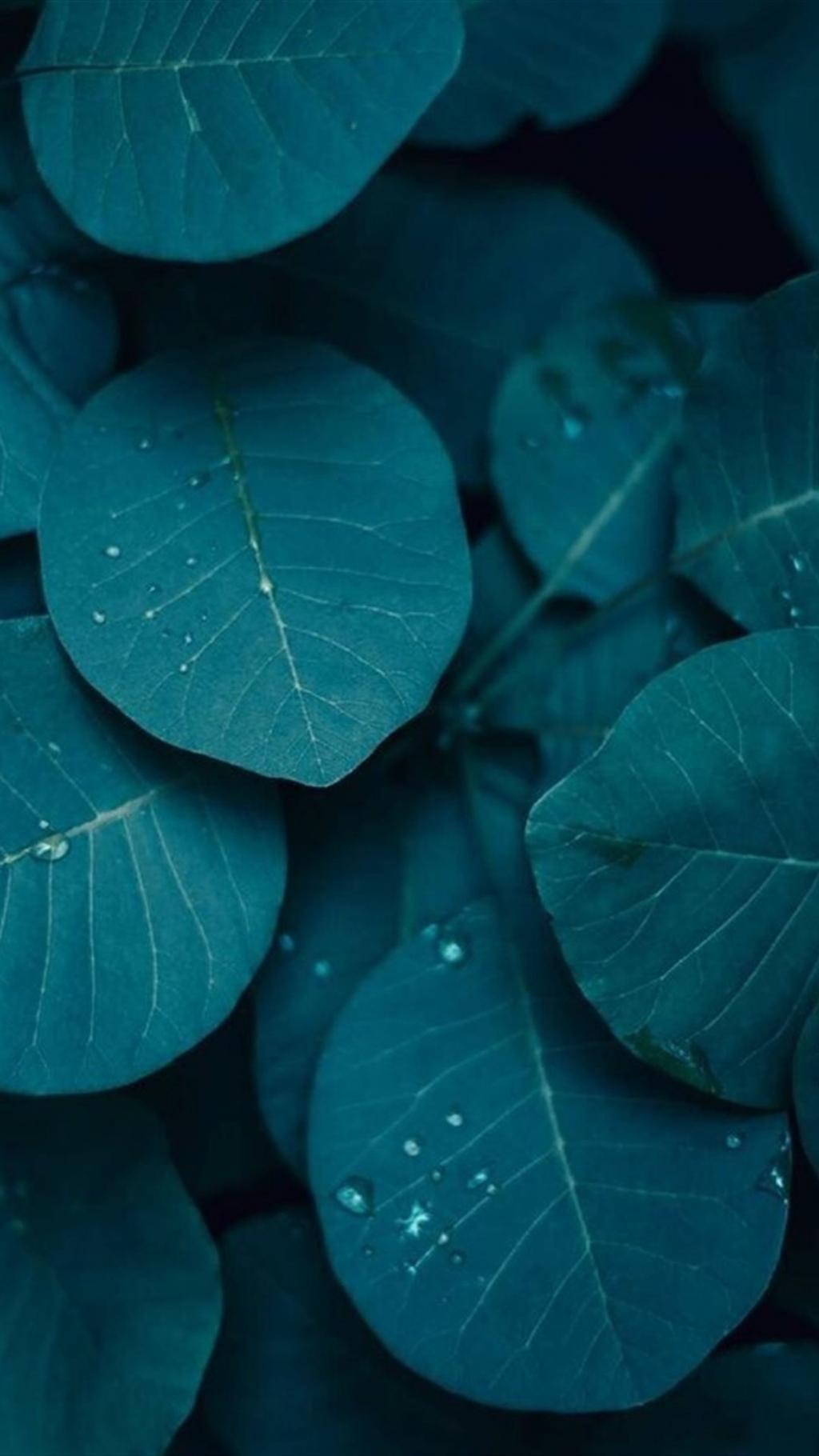 个性树叶创意设计