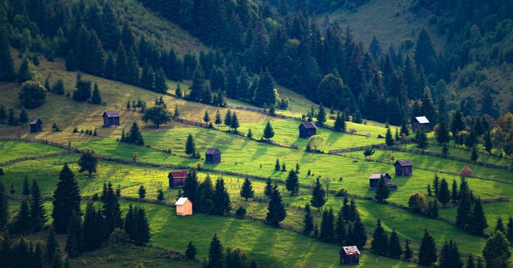 清新静谧田园自然风光