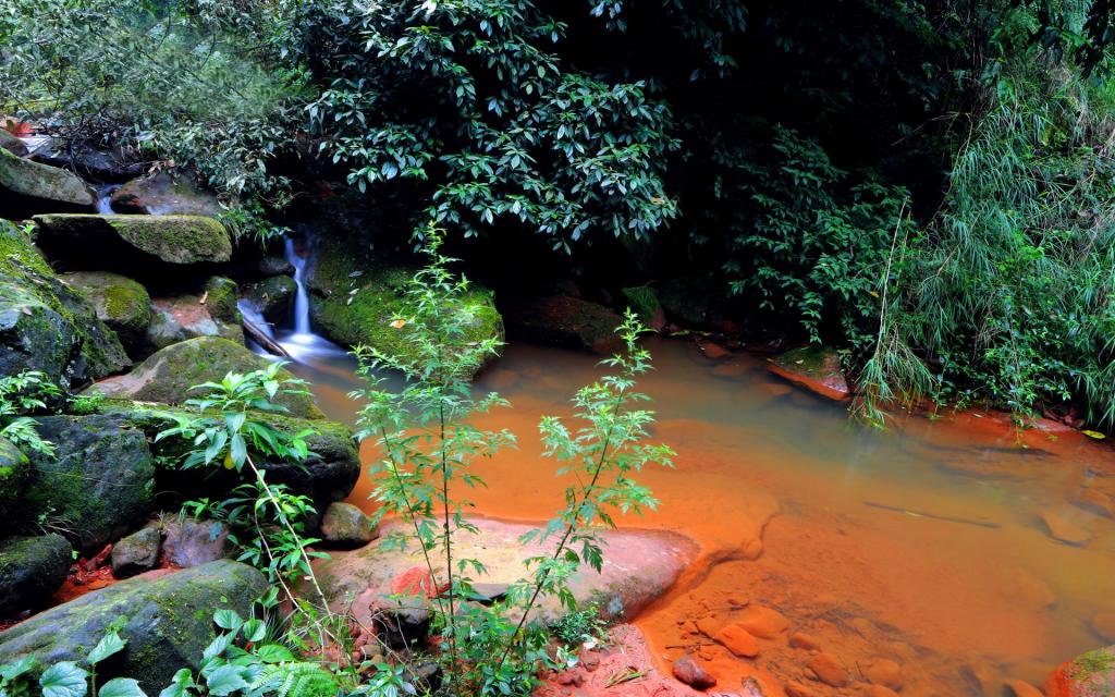 贵州赤水天柱峰佛光岩风景