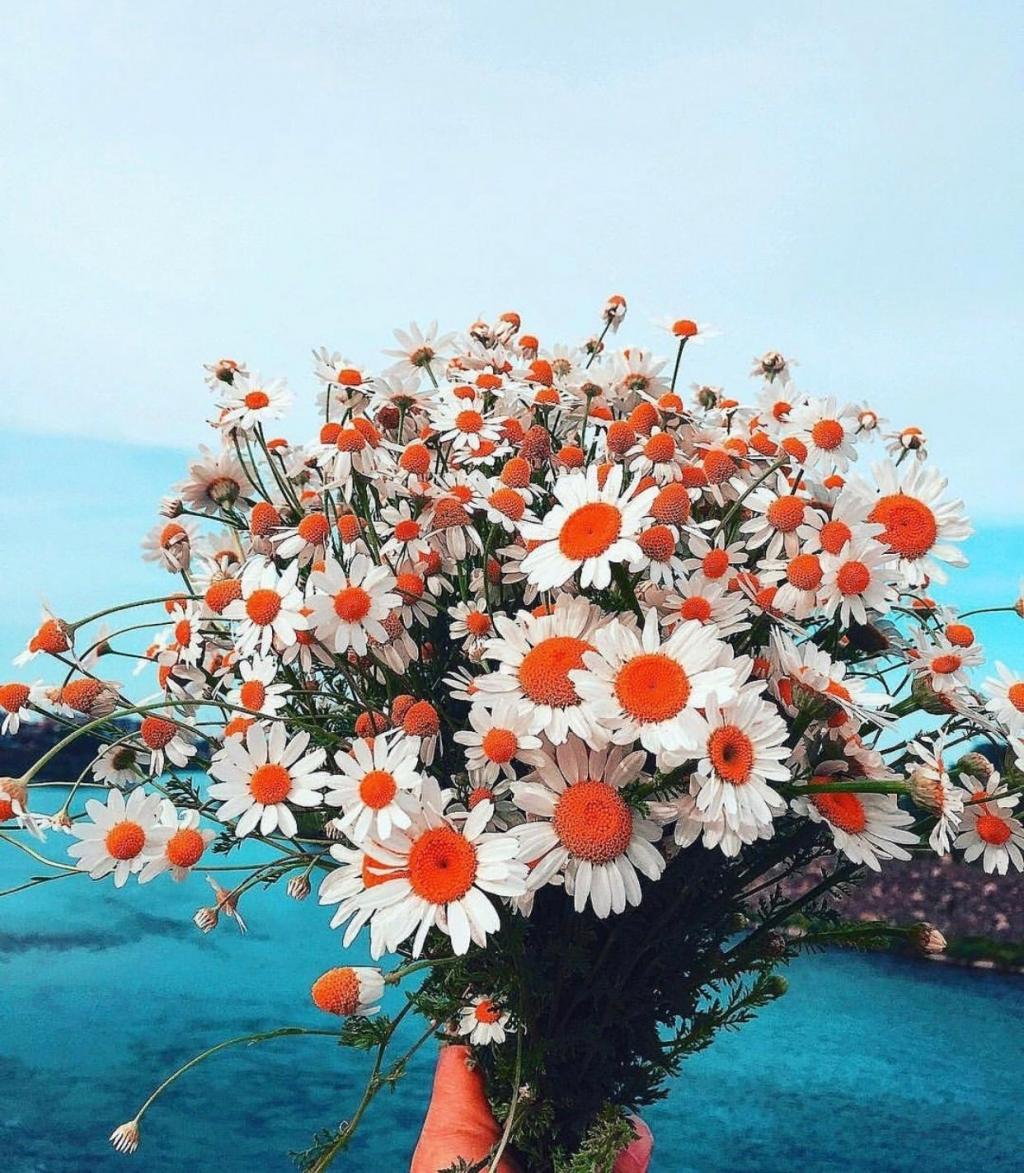 五月的人间烟火气