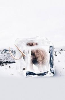 唯美梦幻世界-0