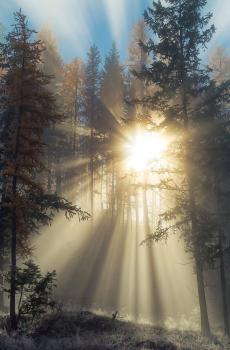 那天阳光正好-3