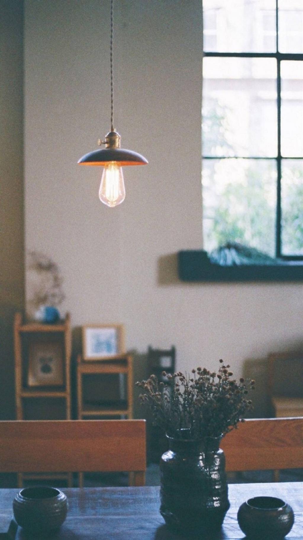 清新植物花卉静物