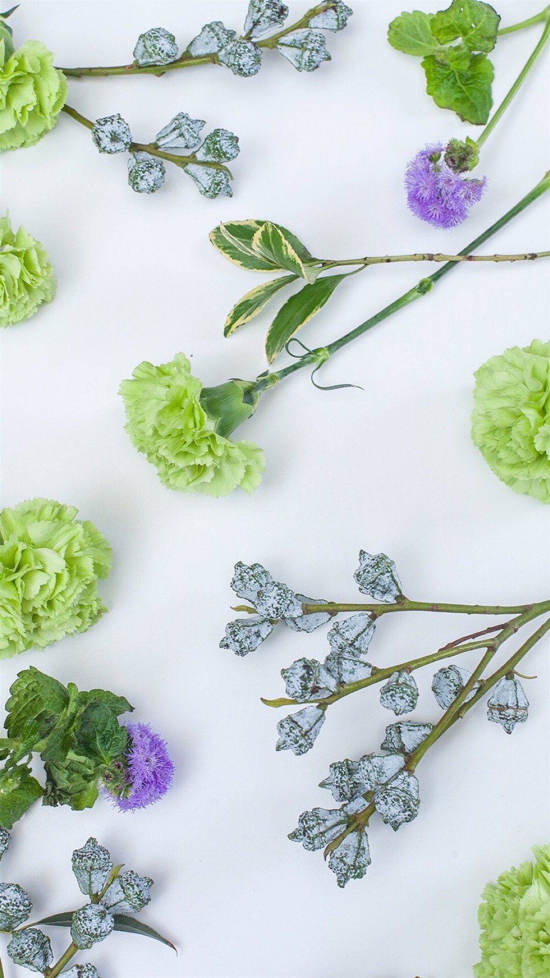 唯美绿色植物花卉,高清图片,手机锁屏桌面-壁纸族