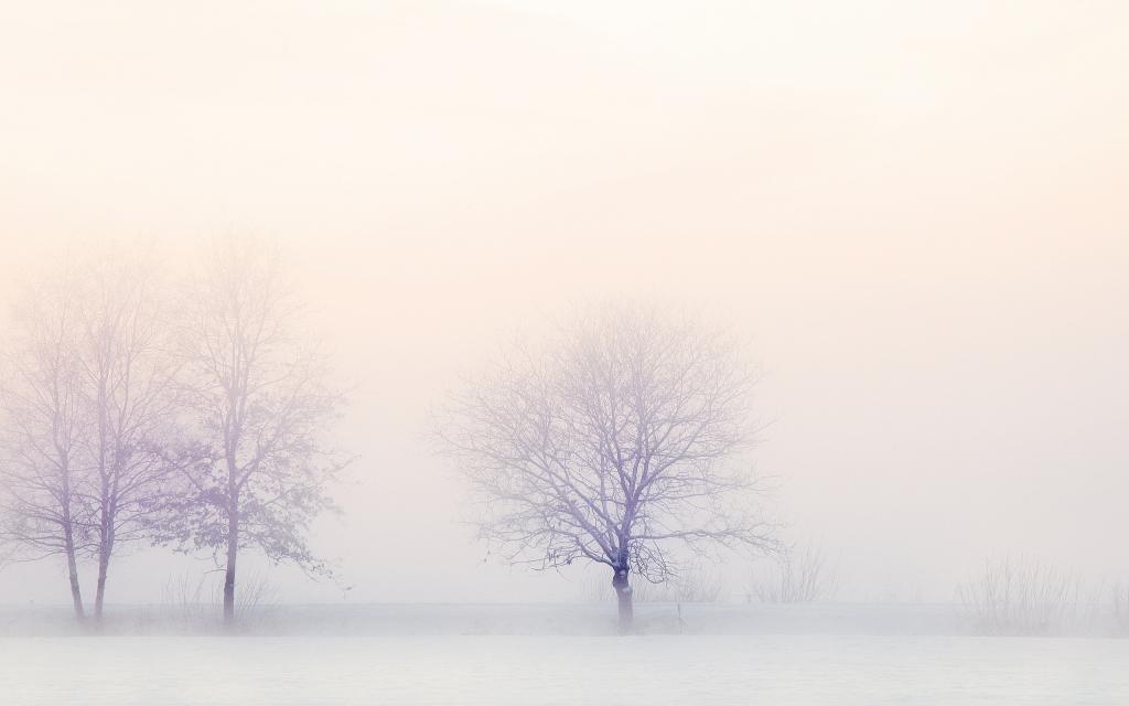 立冬时节的风景