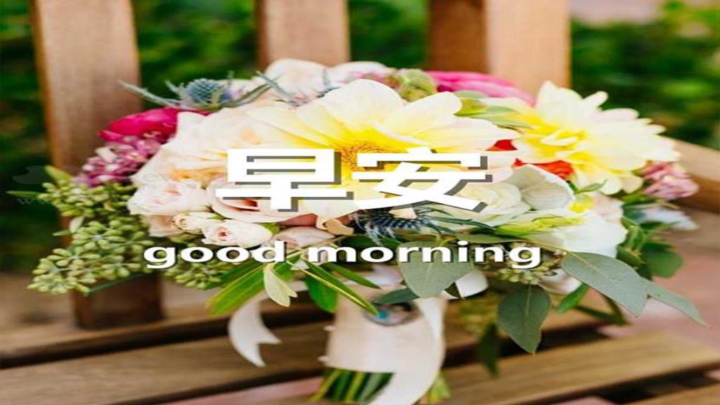 早晨问候语图片