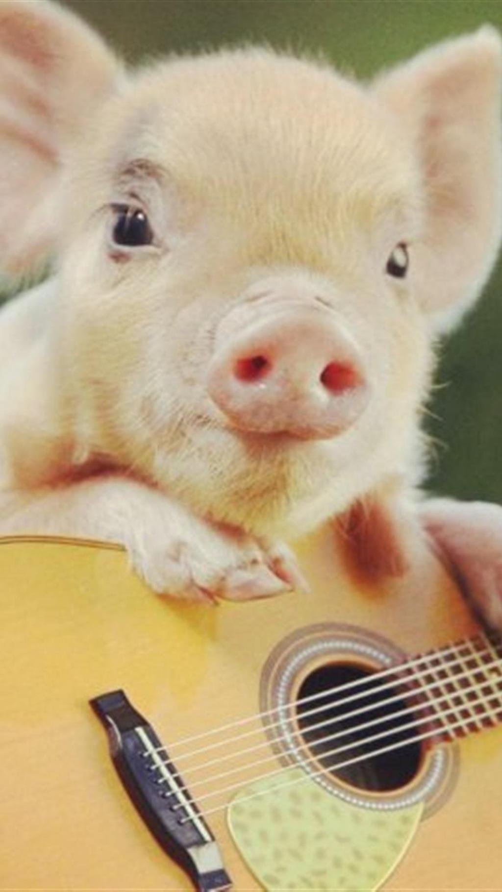 萌萌哒小猪锁屏