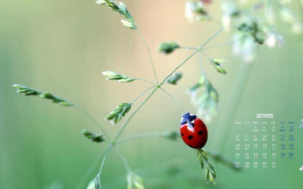 2019年5月小清新自然风光唯美写真日历