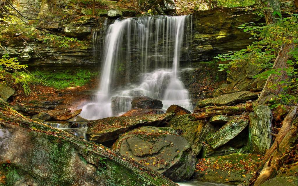 林间小瀑布护眼壁纸