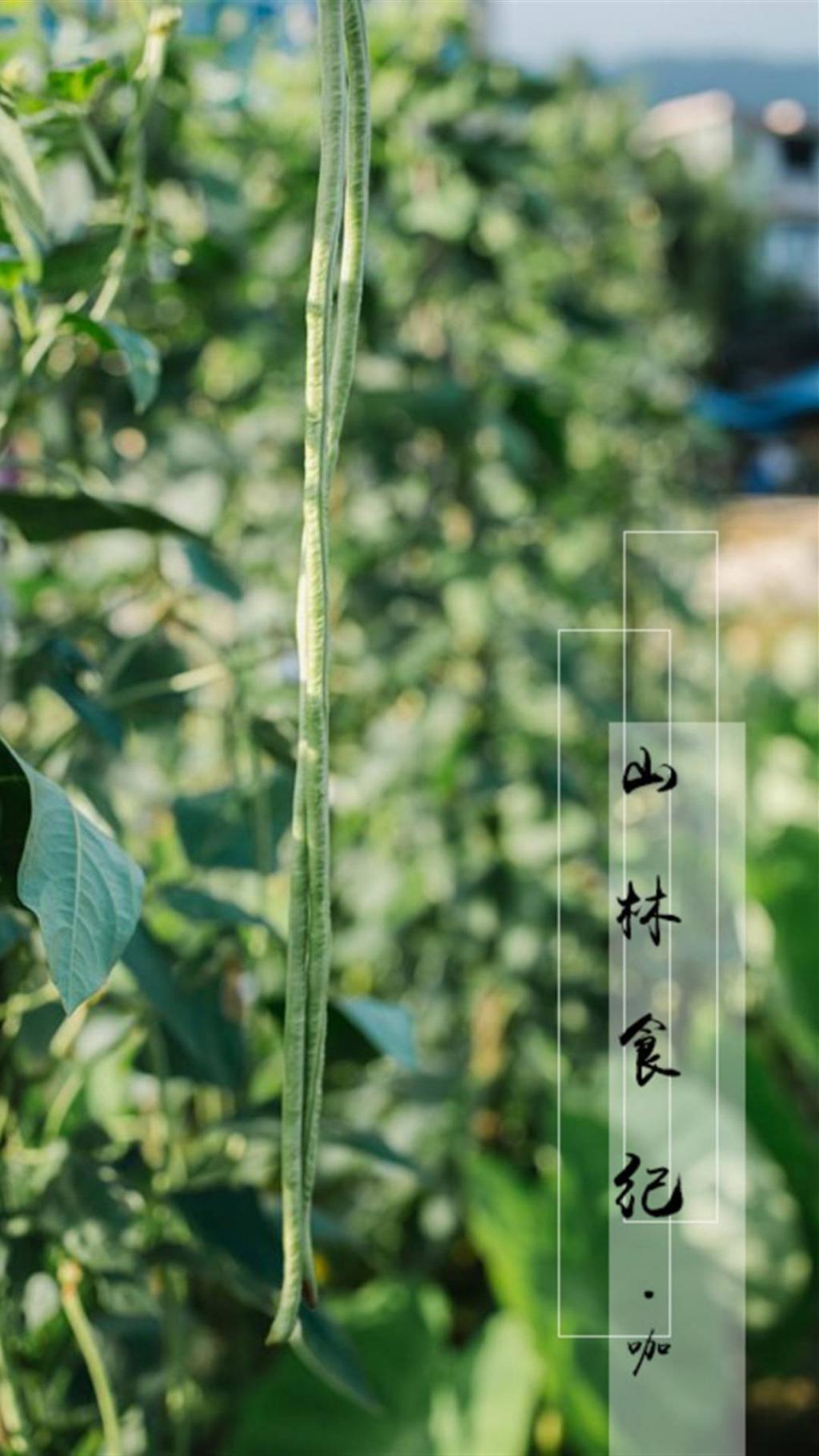 山林食纪之种豆南山下