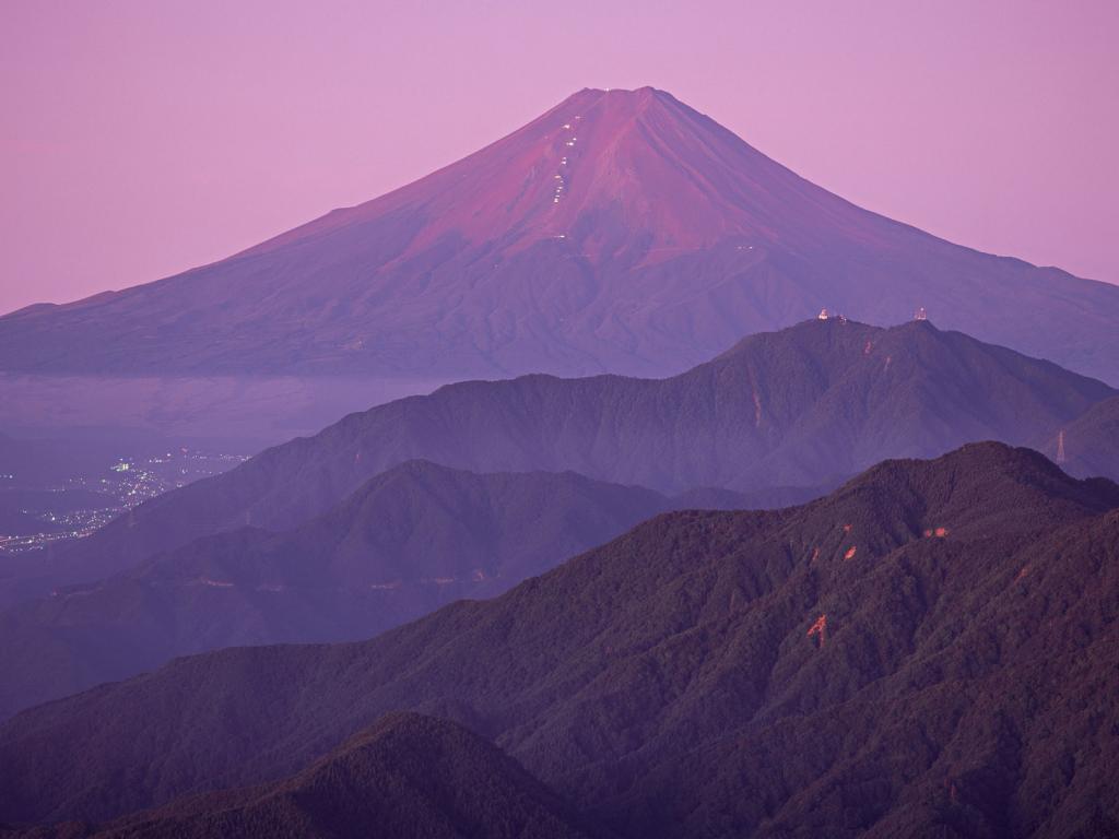 富士山花海