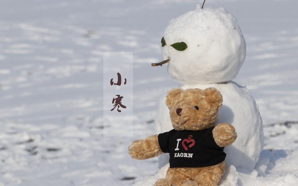 节气小寒的雪景