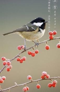 唯美古风二十四节气之小雪-4
