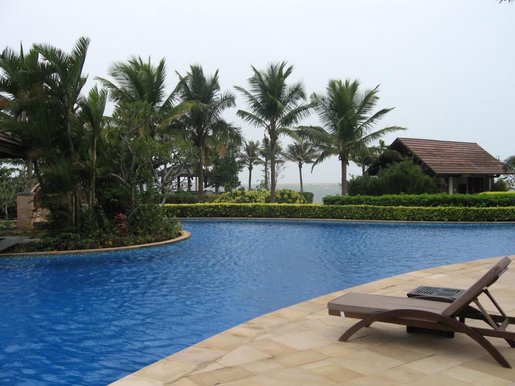 博鳌风光椰子树