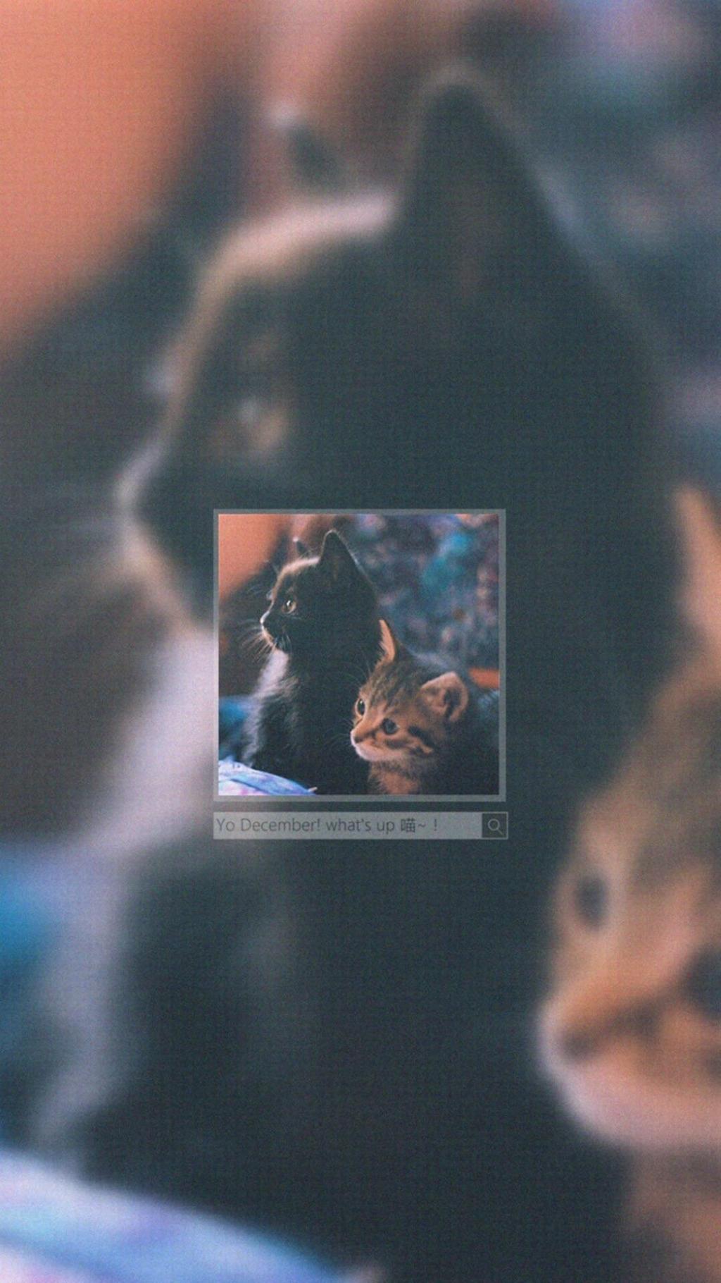 十二月中旬你好