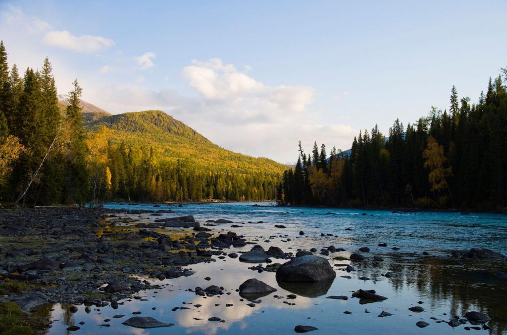 美丽的阿勒泰喀纳斯湖