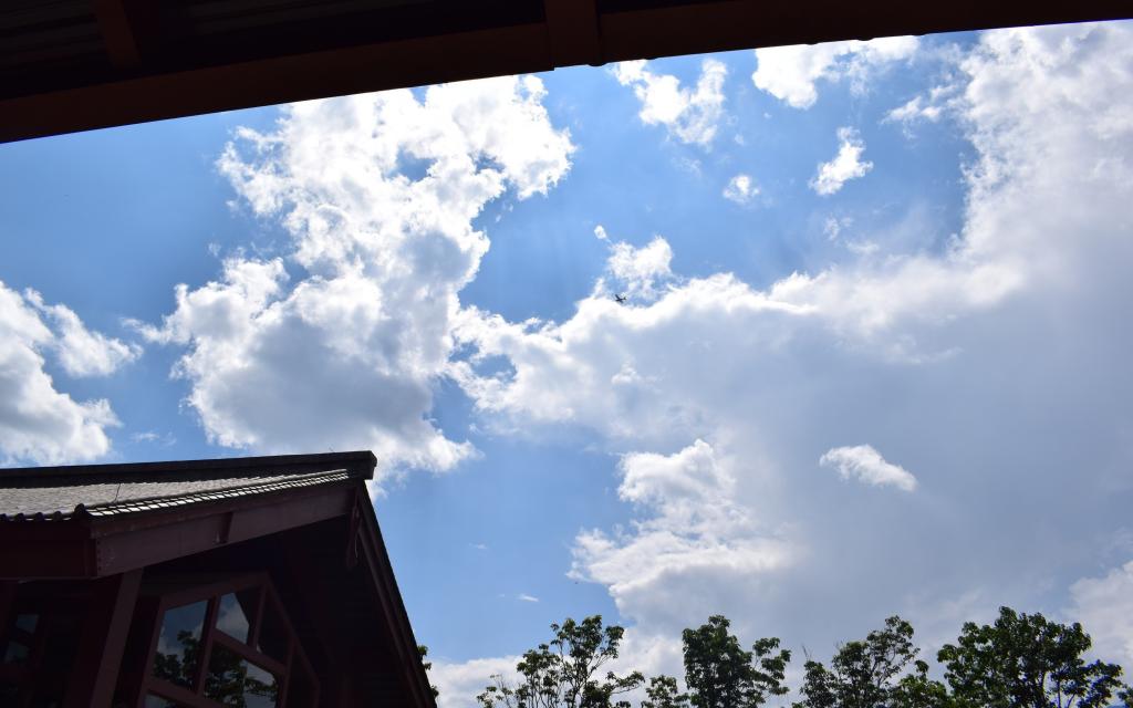 独特设计的咖啡厅