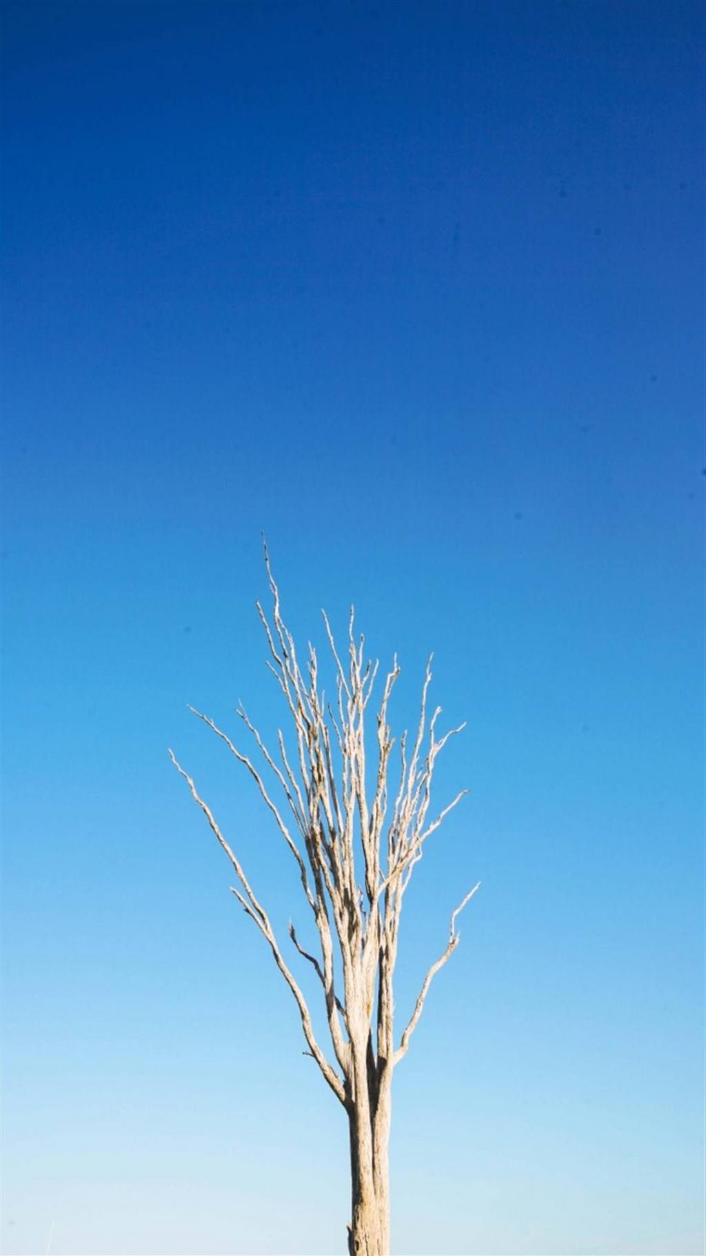 碧海蓝天澳大利亚