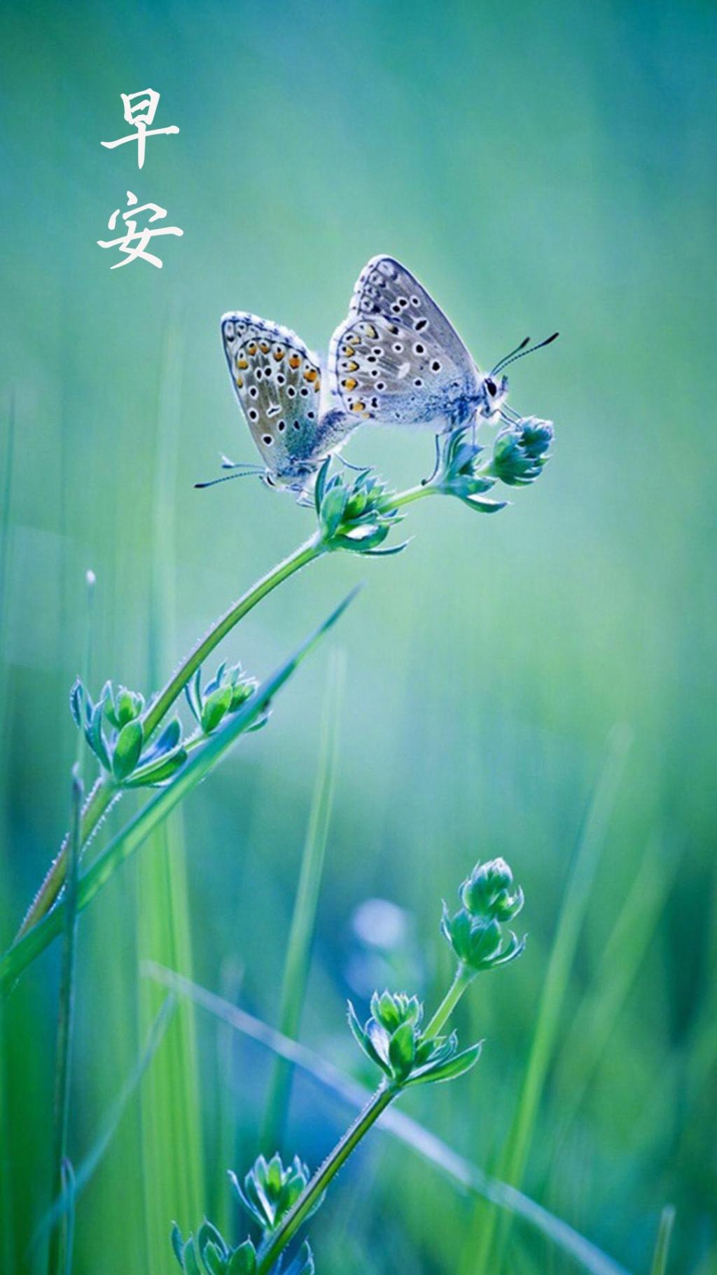 夏天最初的早安