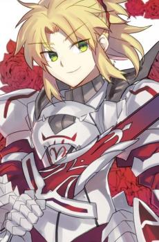 《Fate/GO》同人-4