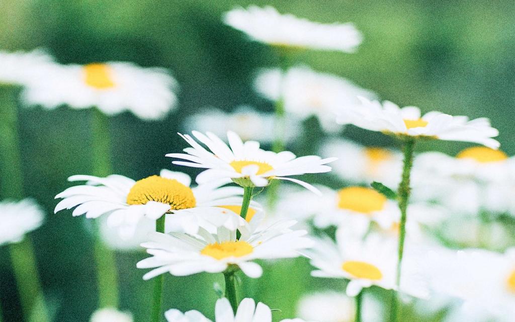 夏日物语小清新写真