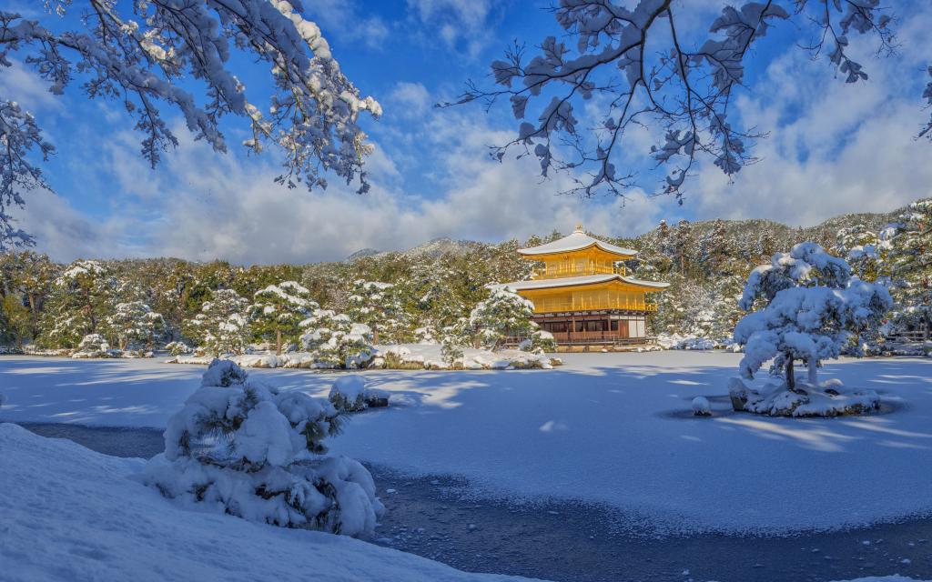 不能错过的日本雪景