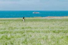 济州岛清新迷人自然风光