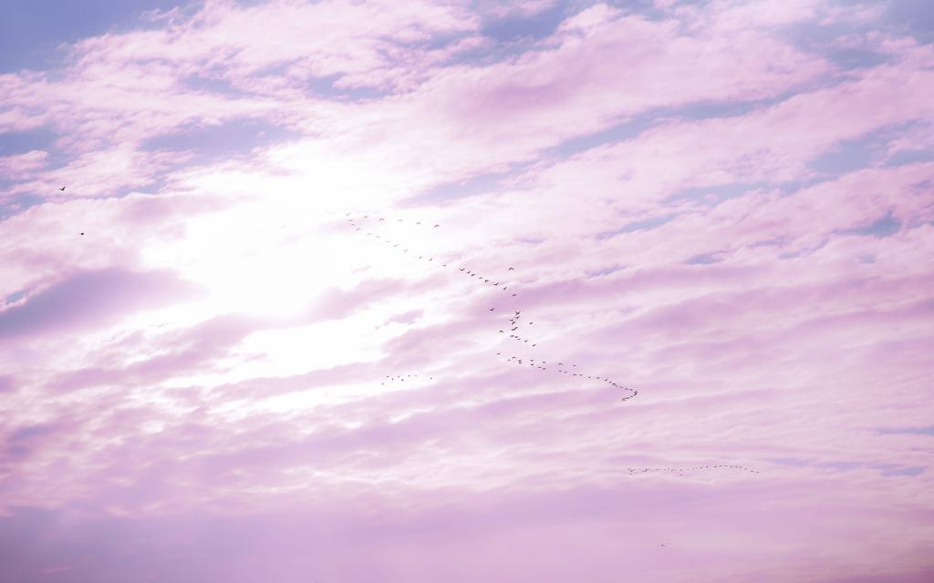 少女心粉紫色的天空风光