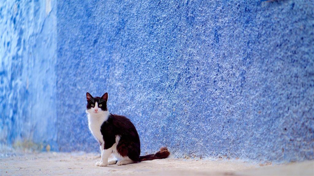 摩洛哥小清新唯美山城风景写真