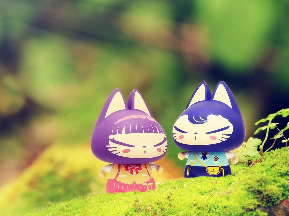 可爱呆萌的拽猫