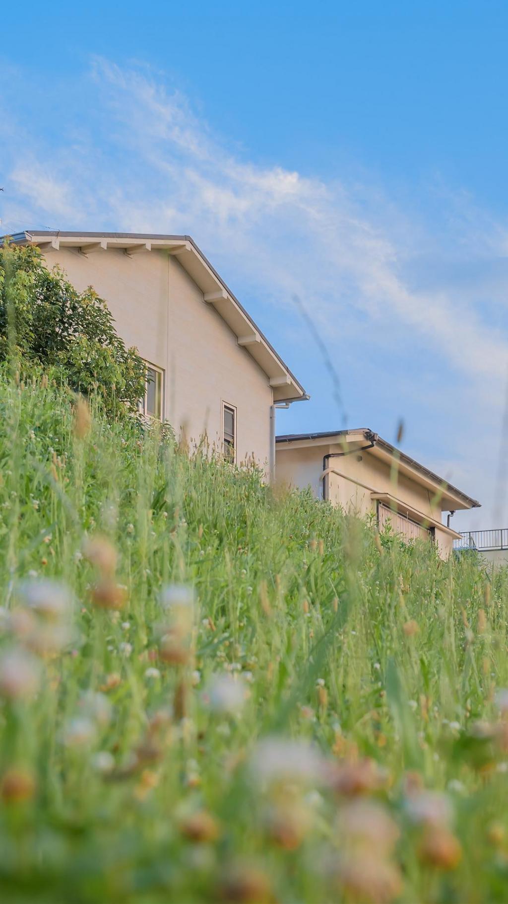 日系小清新唯美街景